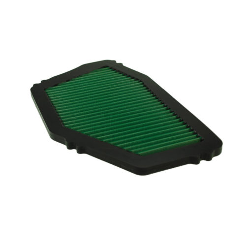 Filtre à air Green – P960157
